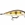 RAPALA COUNTDOWN ELITE 75 - Imagen 2